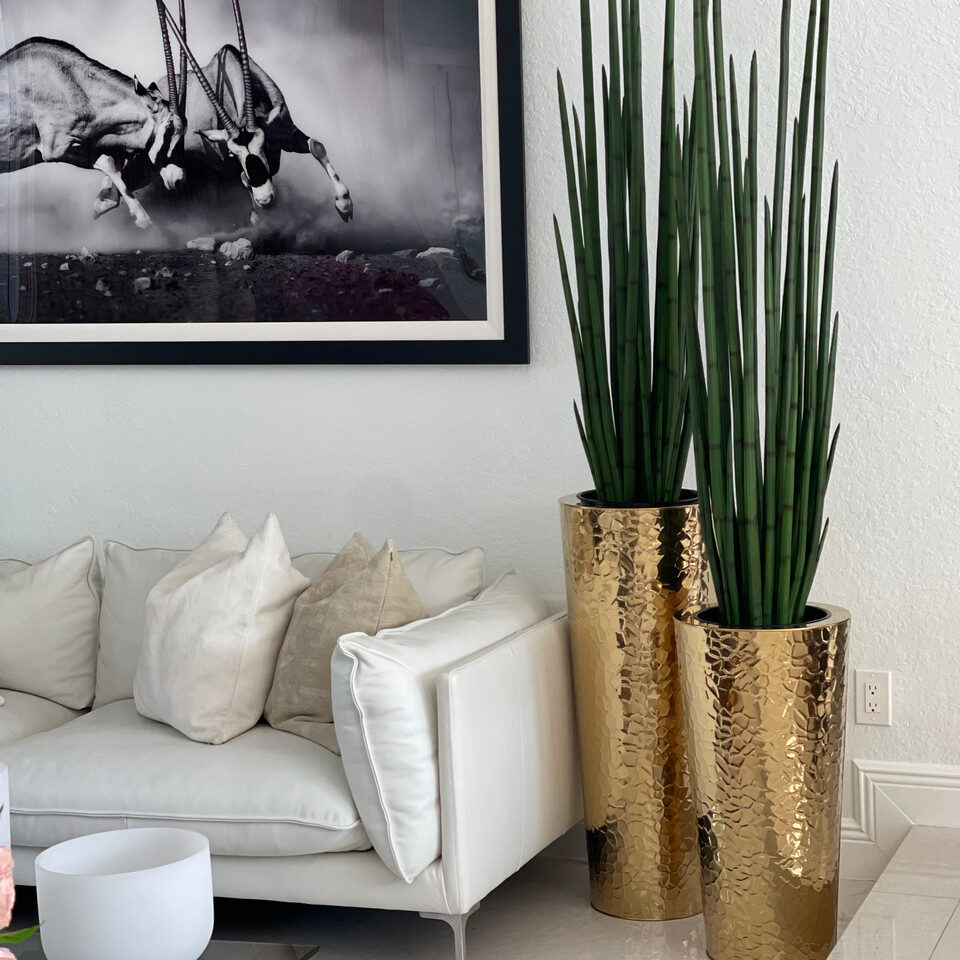 Gold Hammered Stainless Steel Tapered Cone with Large Snake Grass Plant