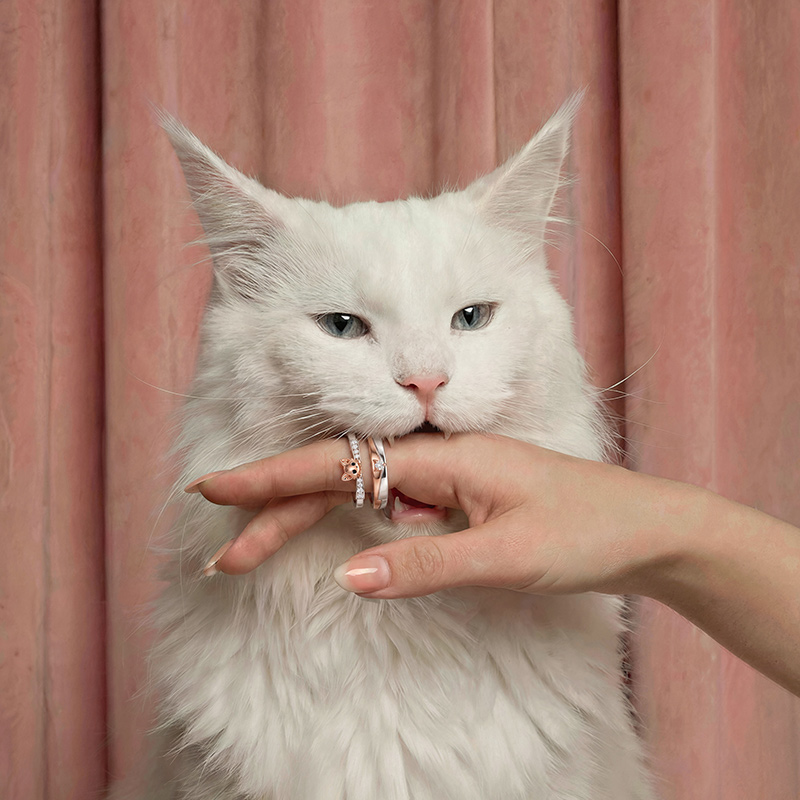 Jeulia Two Tone Cat Matching Couple Ring Set Sterling Silver
