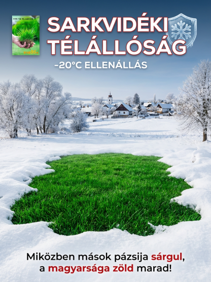 【7 Napos Csoda】Sarkvidéki Örökzöld Fűmag | -20°C Fagyálló & Kutyabiztos Prémium Pázsit