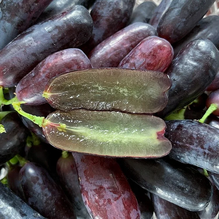 🍇 Zafírové hroznové semienka — zázrak v tvare prsta