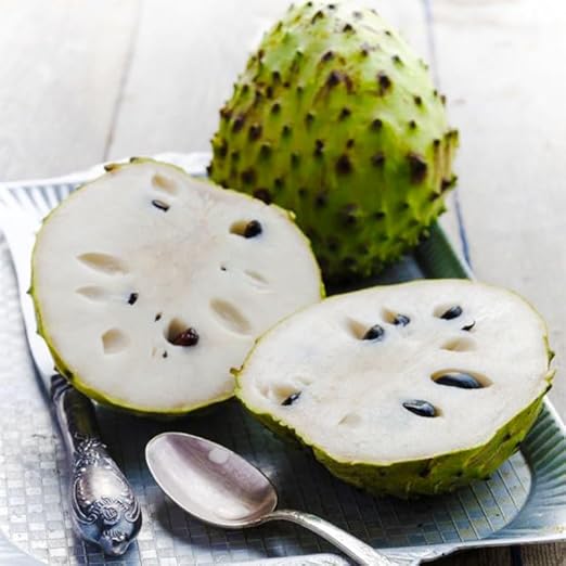 💥🌸 Semená organickej gravioly (soursop) – semená tropického ovocia bez GMO