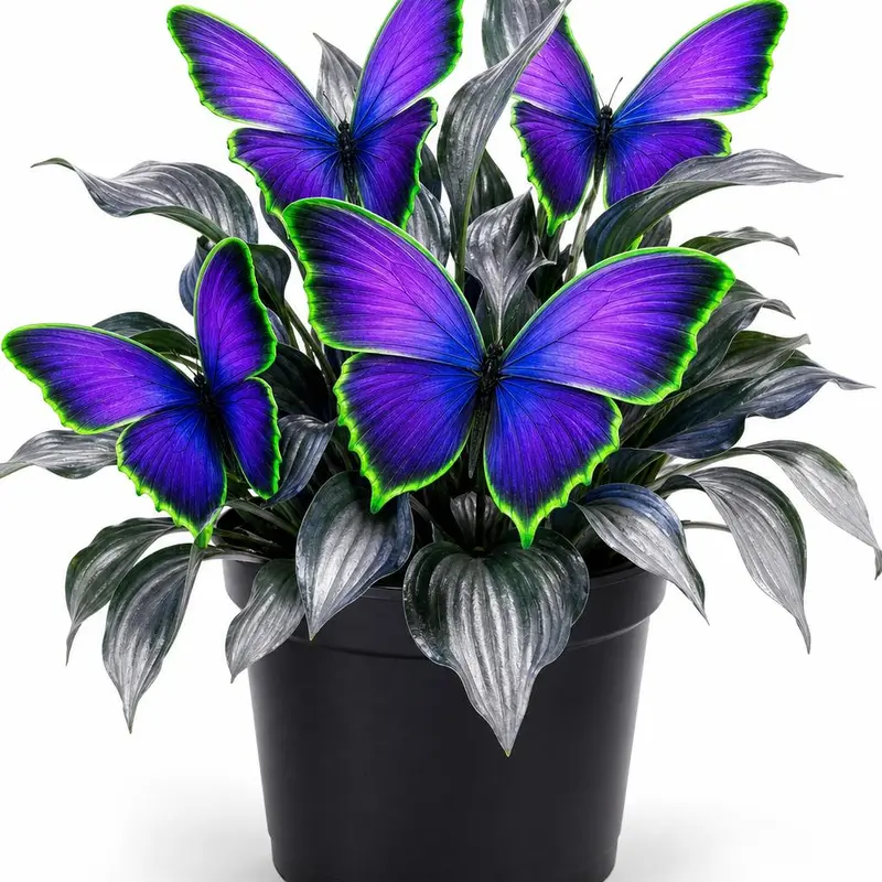 Semená hosty Neon Butterfly pre magickú virálnu záhradnú prezentáciu - 300 semien