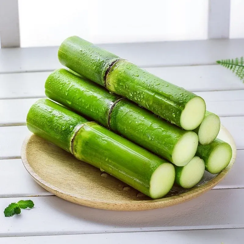 🌱 Semená cukrovej trstiny s vysokým výnosom – ľahko sa pestujú a prežijú, ideálne na domáce pestovanie ovocia