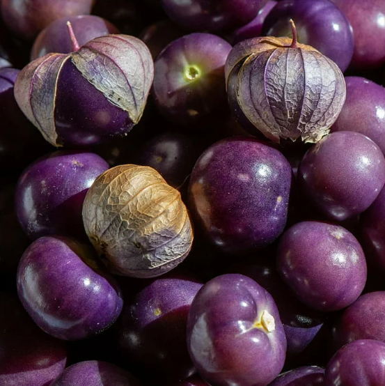 🍒Semená zlatých bobúľ Semená lampášového ovocia – zlaté ovocie