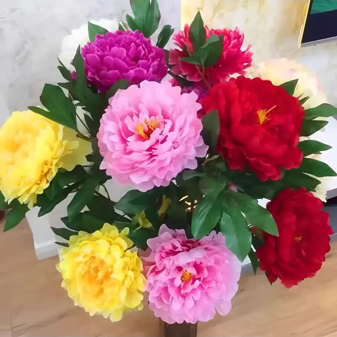 🌸 Pivonka šišková - odolná trvalka, popínavá rastlina pre vnútornú aj vonkajšiu krásu