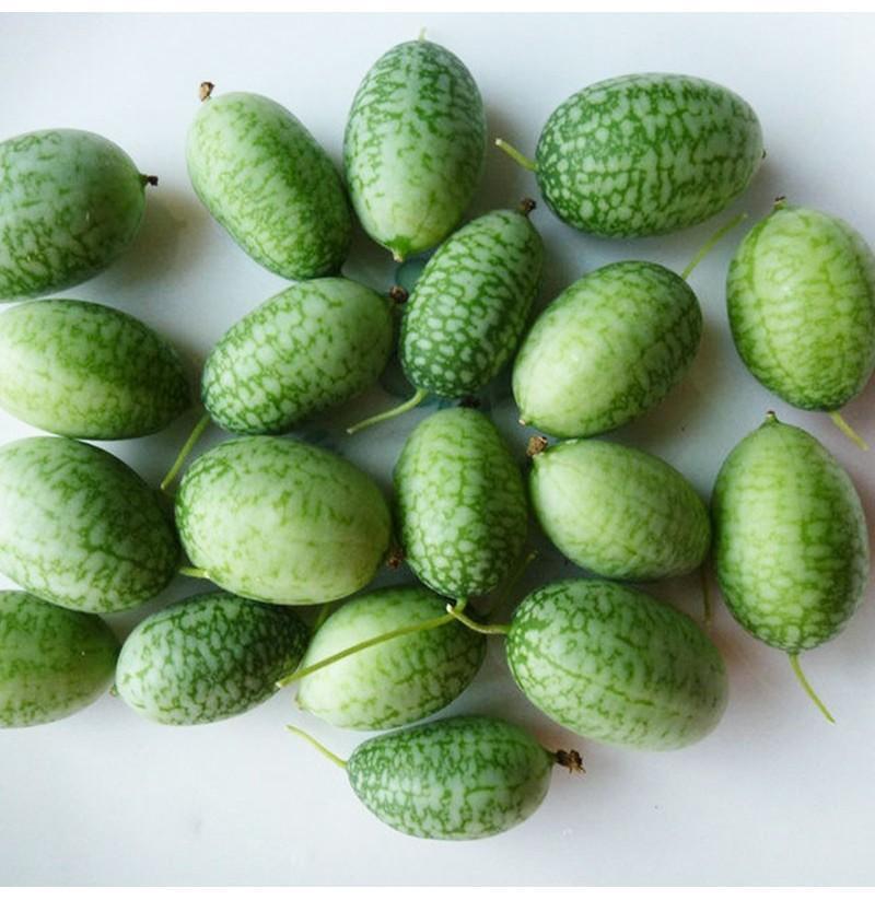 RARE SEEDS THUMB WATERMELON SEEDS-Plantjoyfarm-Fruit Seeds