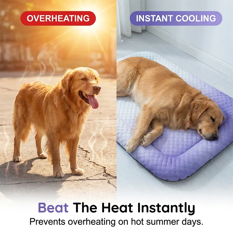 🔥Letný výpredaj 50% ZĽAVA🧊❄️Chladiaca podložka pre psy a mačky🐶🐱Prirodzene chladiaca podložka z ľadového hodvábu • Priedušná, mäkká a umývateľná 🌿 Na podlahu, gauč a do auta🐾