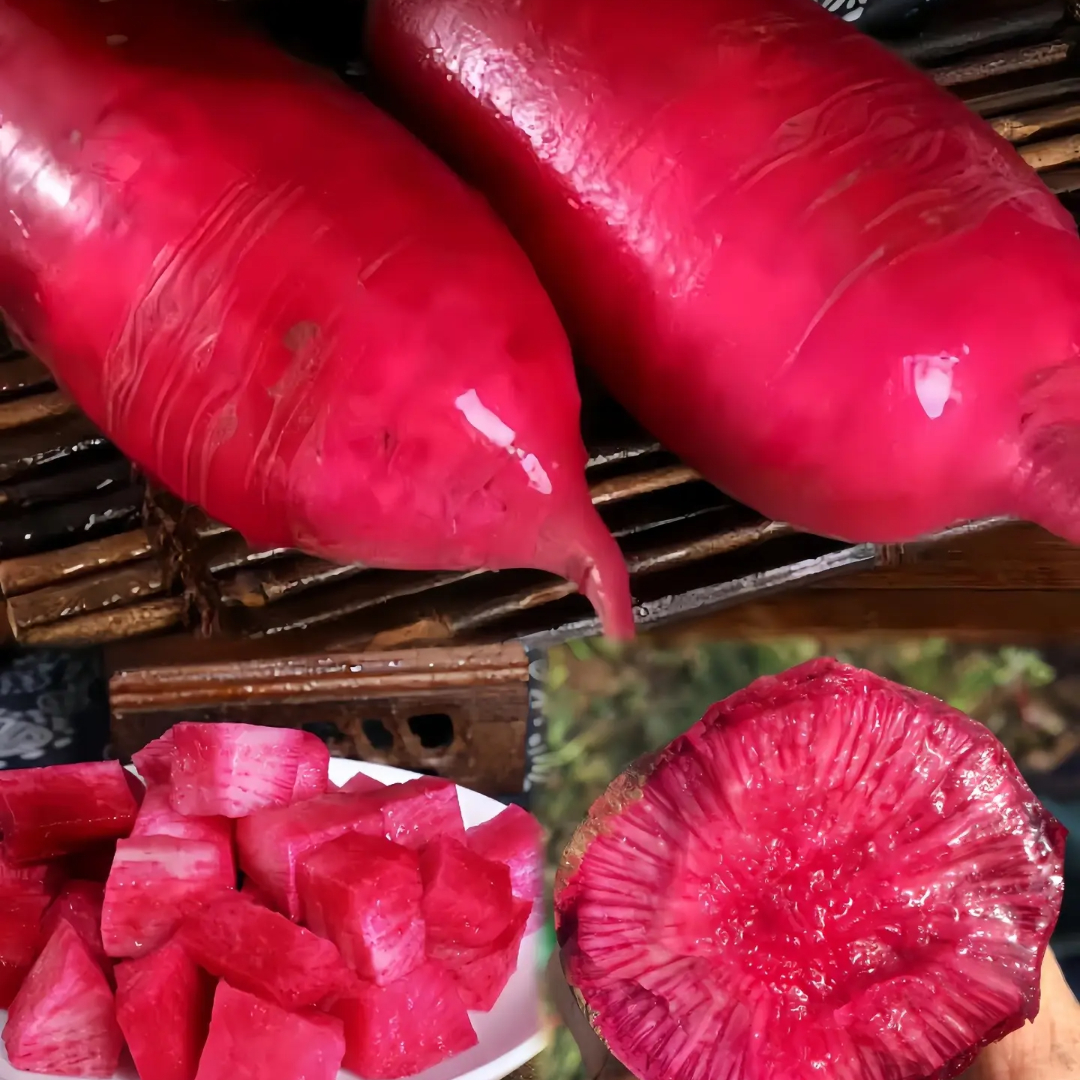 🥕Semená ananásu a reďkovky