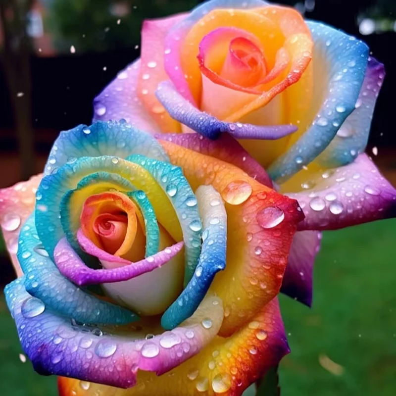 🌹 Summer Bloom Sale [60% OFF] – Rare Rose Seeds! 🌼