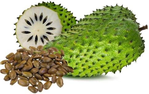 💥🌸 Semená organickej gravioly (soursop) – semená tropického ovocia bez GMO