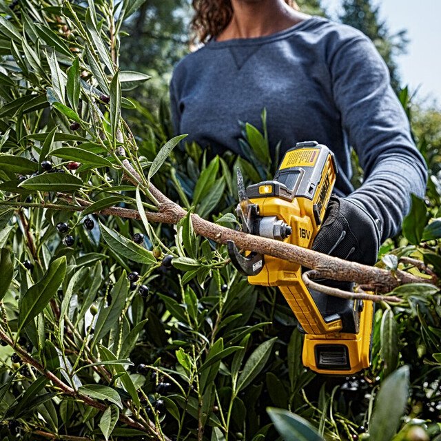 DeWALT DCMPP568P1