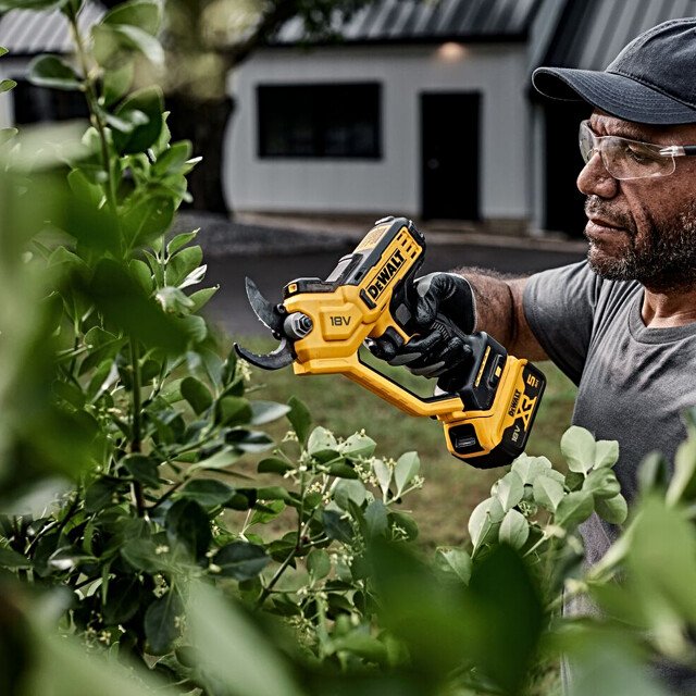 DeWALT DCMPP568P1