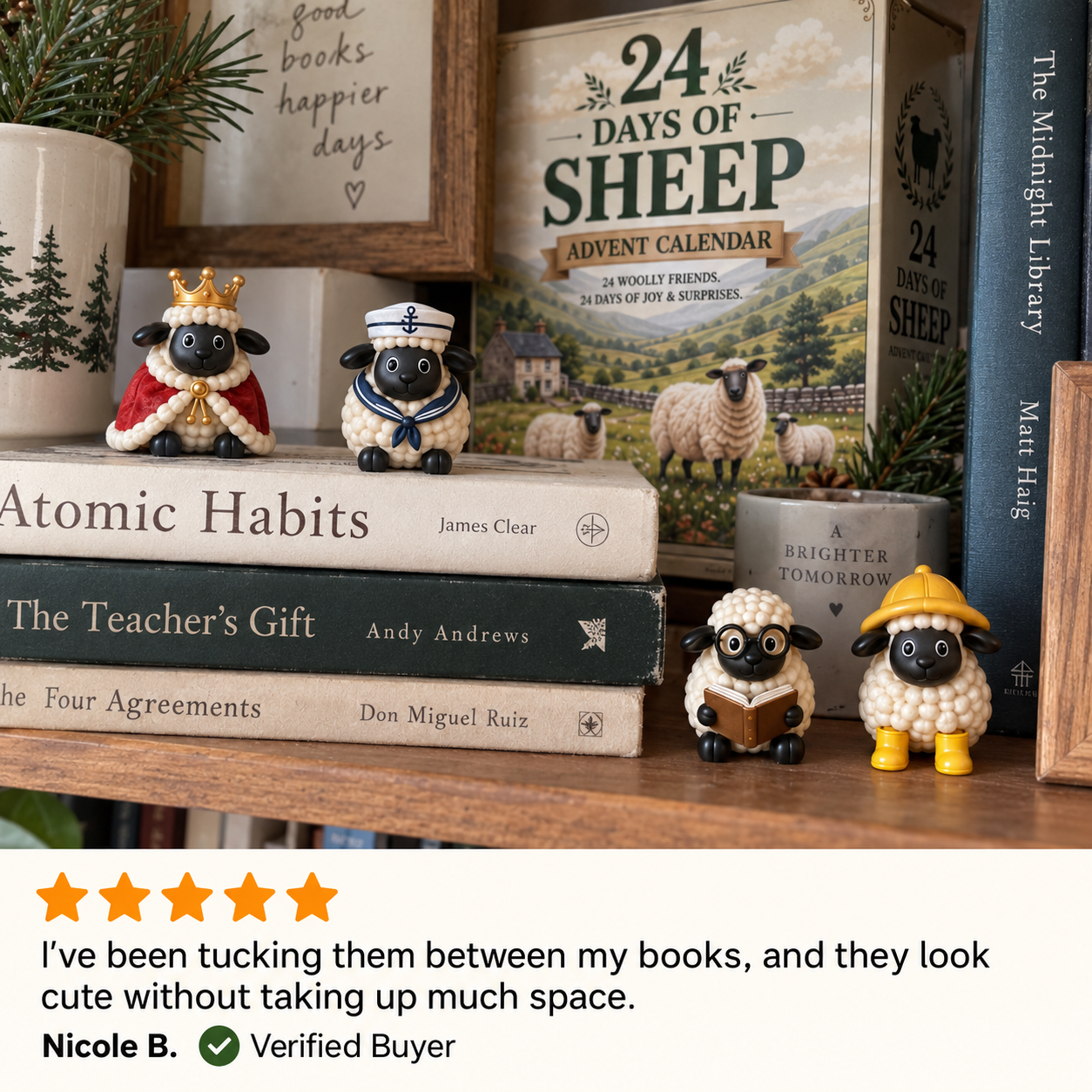 Customer shelf sheep figures
