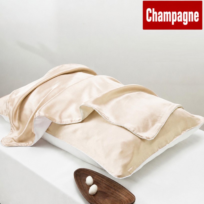Premium 19 Momme Dual-Sided Pillowcase: 100% Mulberry Silk & Cooling Tencel