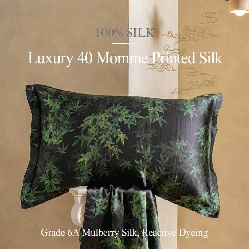 Premium 40 Momme Silk Pillowcase (Dual-Sided) | Front: 100% Mulberry Silk, Back: Cooling Lyocell Tencel | Anti-Aging Beauty Sleep Cover (48x74cm)