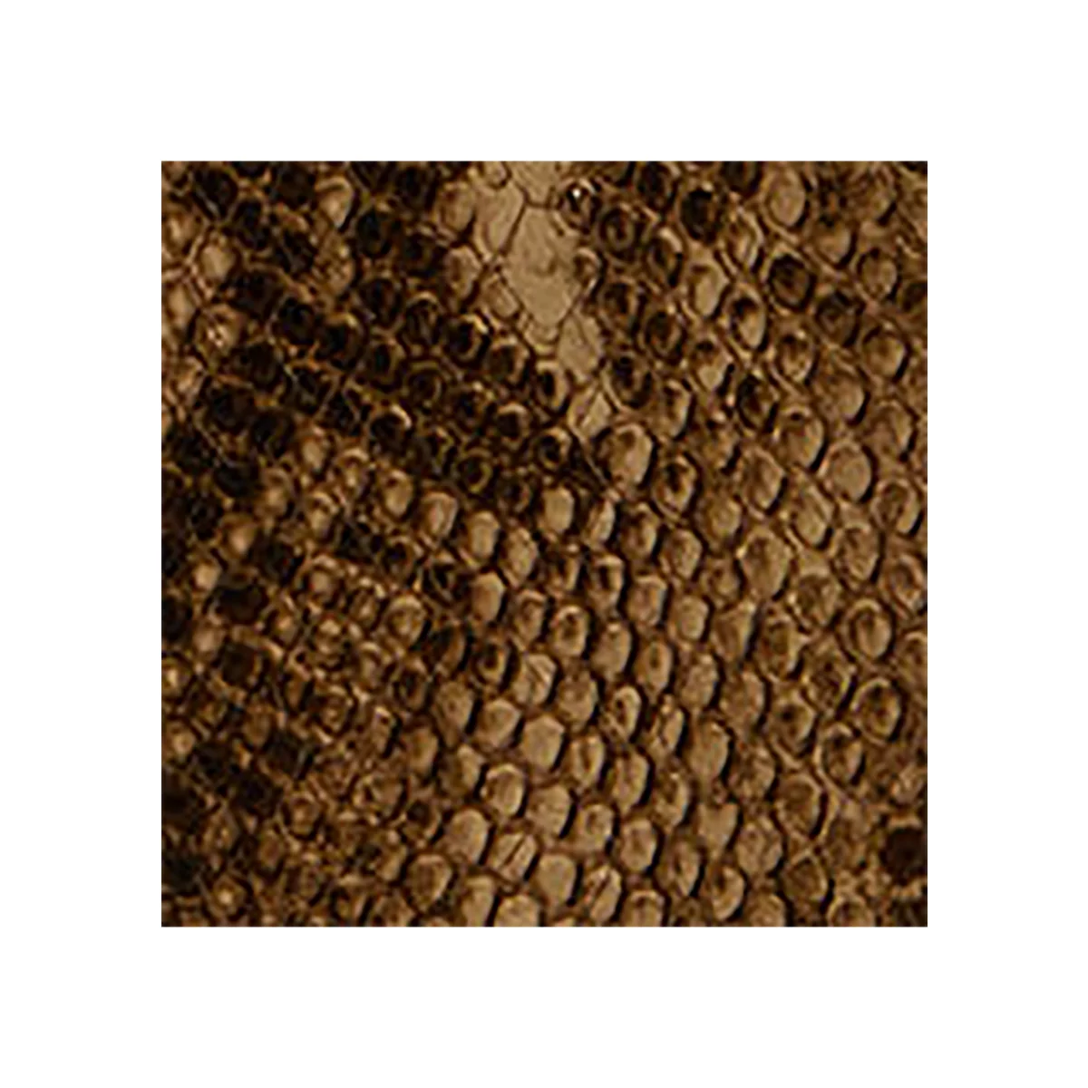Python-Embossed Large Tasha Shoulder Bag - 6