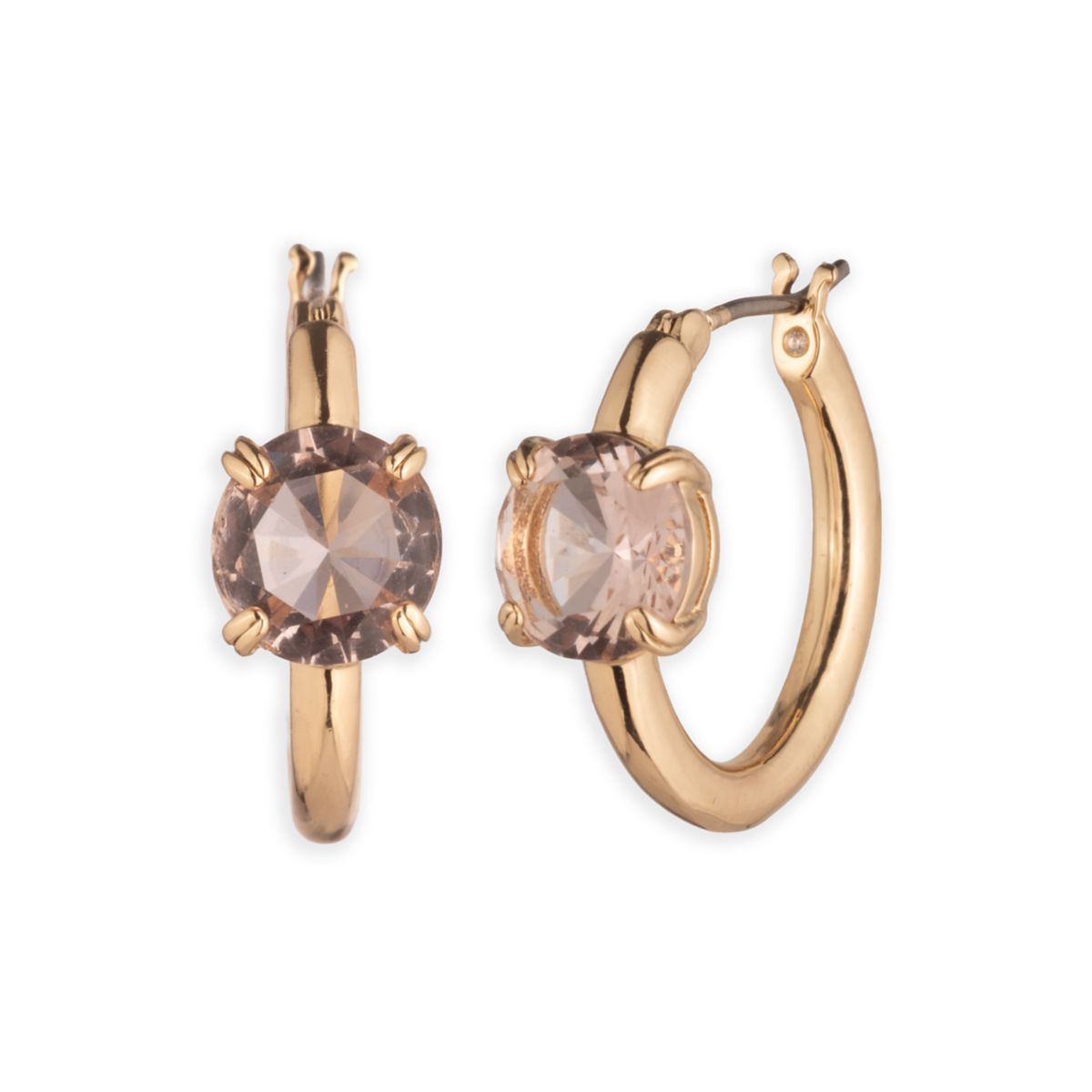 Stone Hoop Earrings - 1