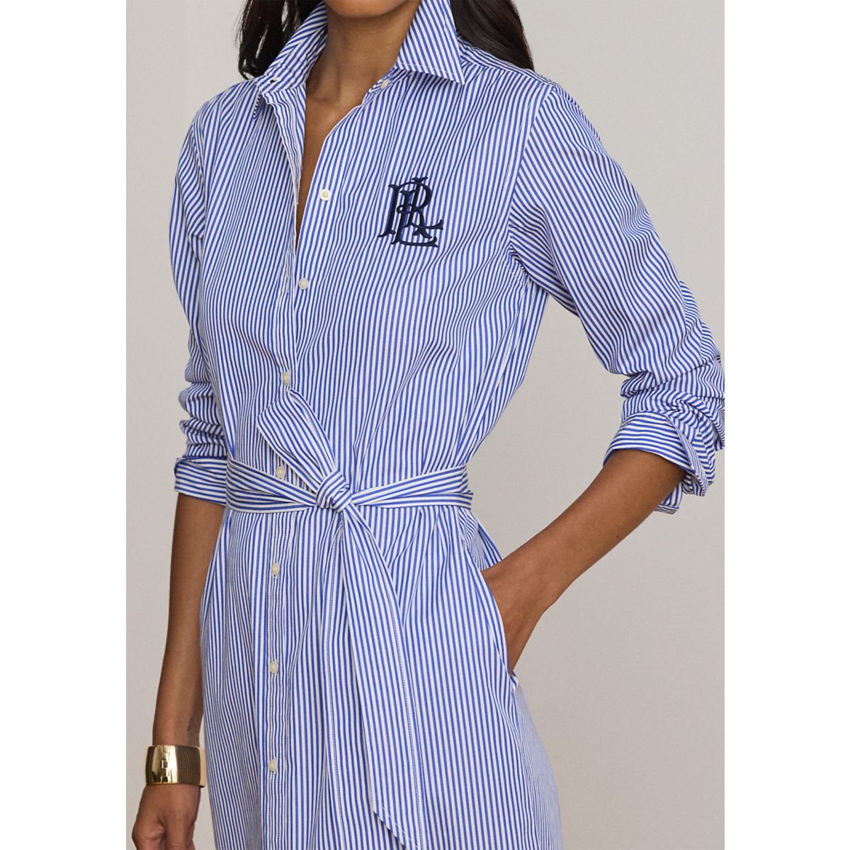 Petite Striped Cotton Broadcloth Shirtdress - 3