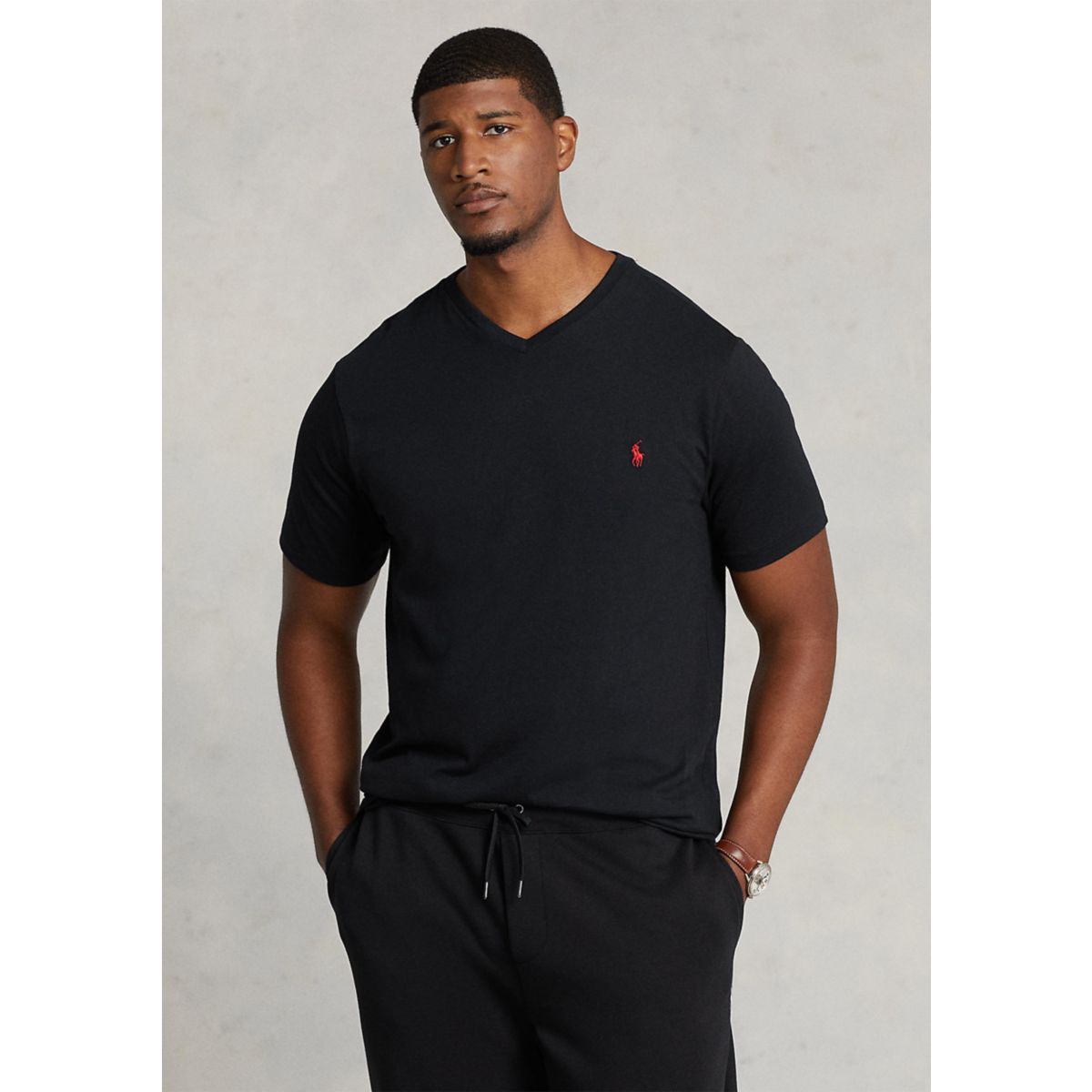 Big & Tall Cotton Jersey V-Neck T-Shirt - 2