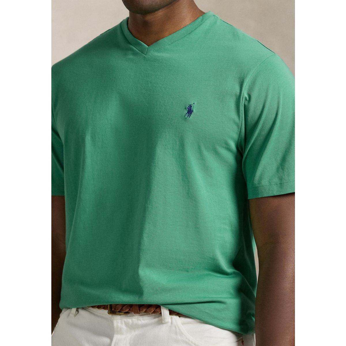 Big & Tall Jersey V-Neck T-Shirt - 3