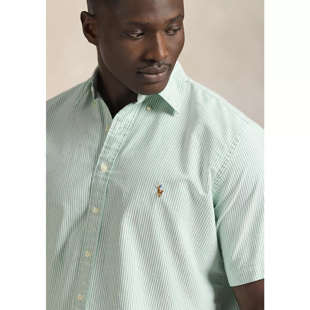 Big & Tall Striped Oxford Shirt - 3