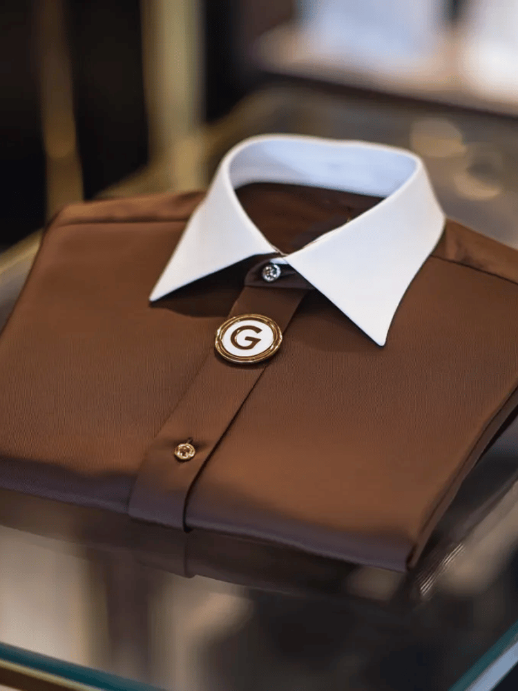 Camisa satén de lujo ejecutivo a rayas de manga larga (without tie, tie clip and brooch)