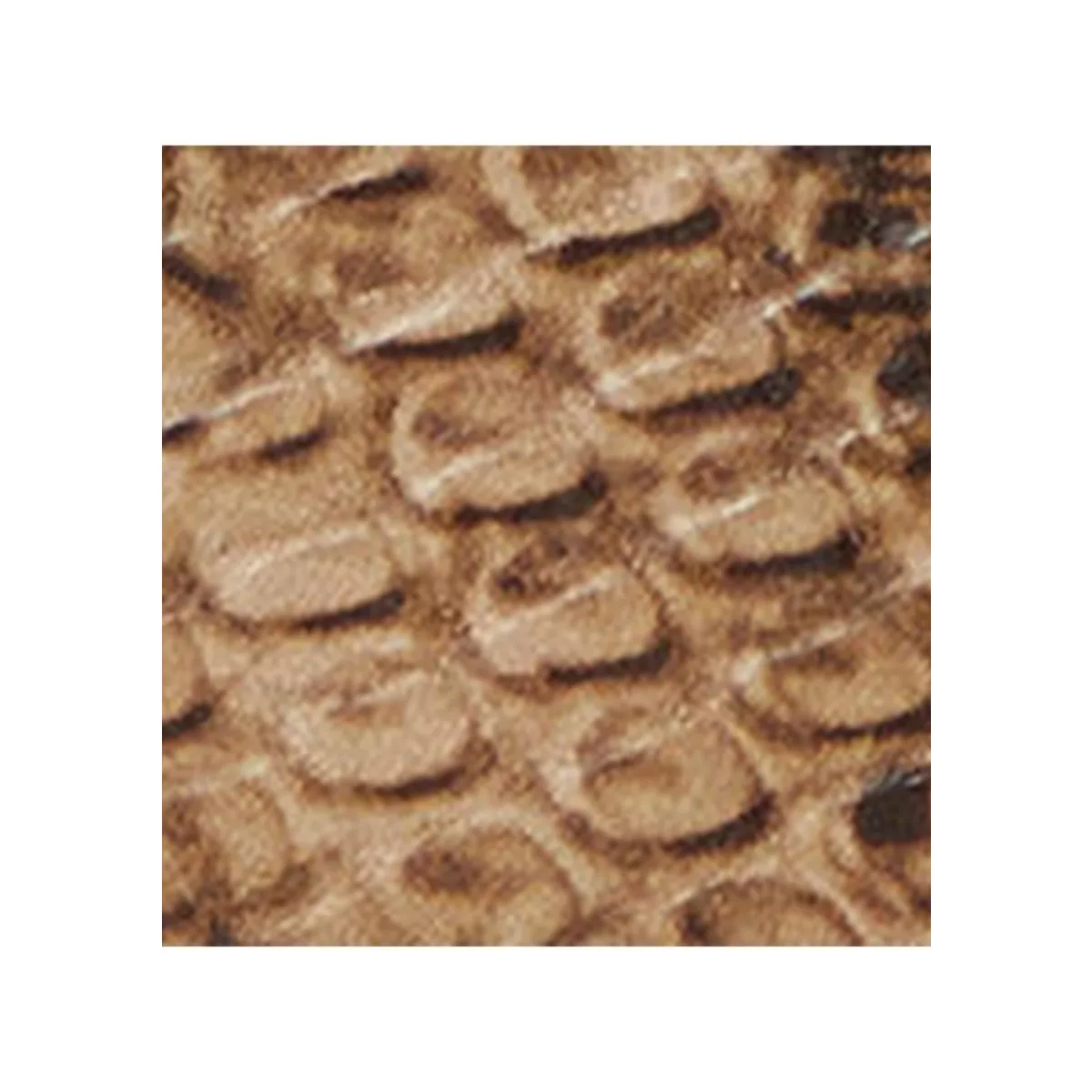 Dani Python-Embossed Low-Profile Sneaker - 5