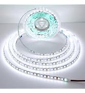 Dosyu Rollo Tira Led 5m 120 Leds 2835 IP20 Interiores Decoración (Blanco Frío)