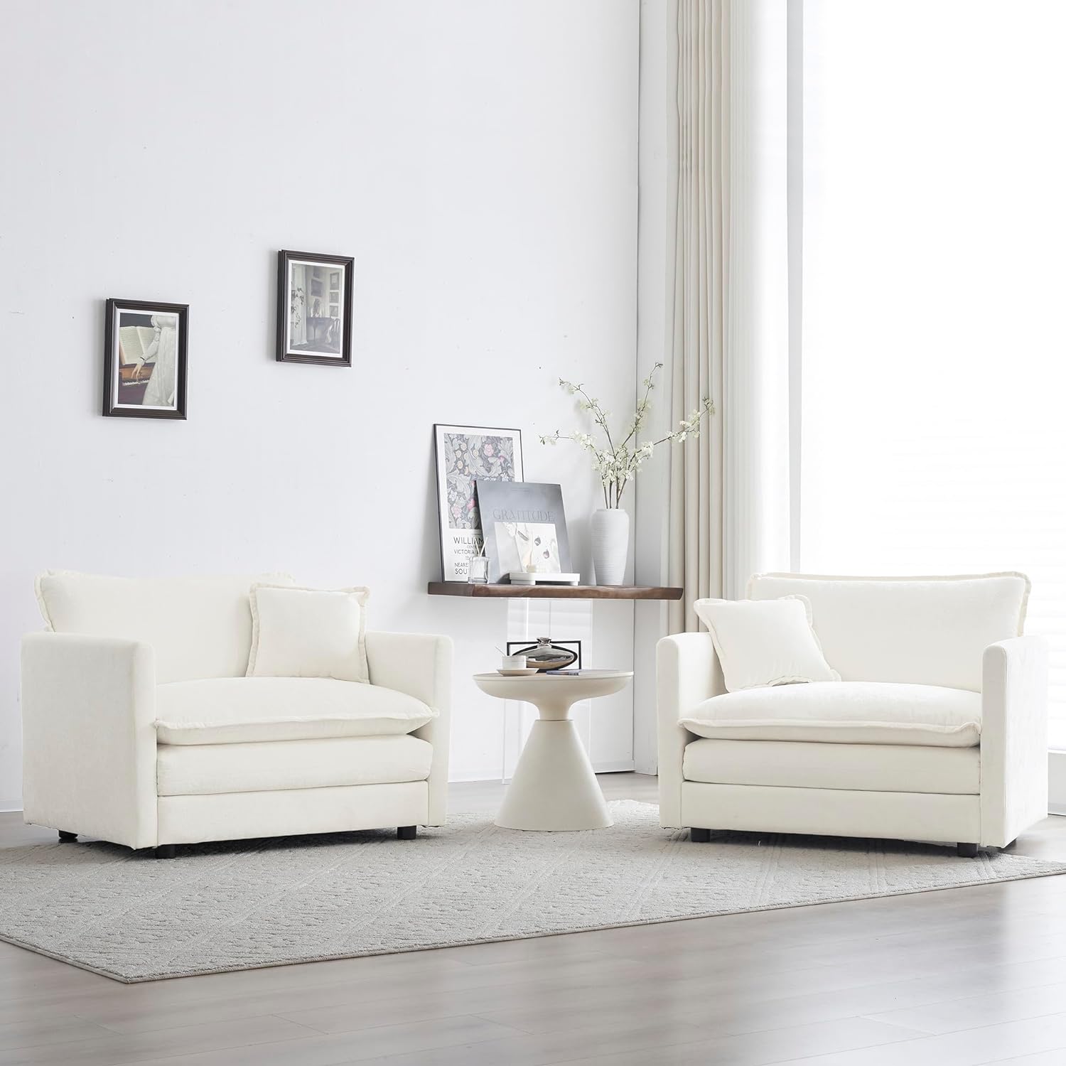 Neylory - Sofá de dos plazas con 2 almohadas para sala de estar, recámara, departamento, 2 plazas de felpilla para asiento profundo
