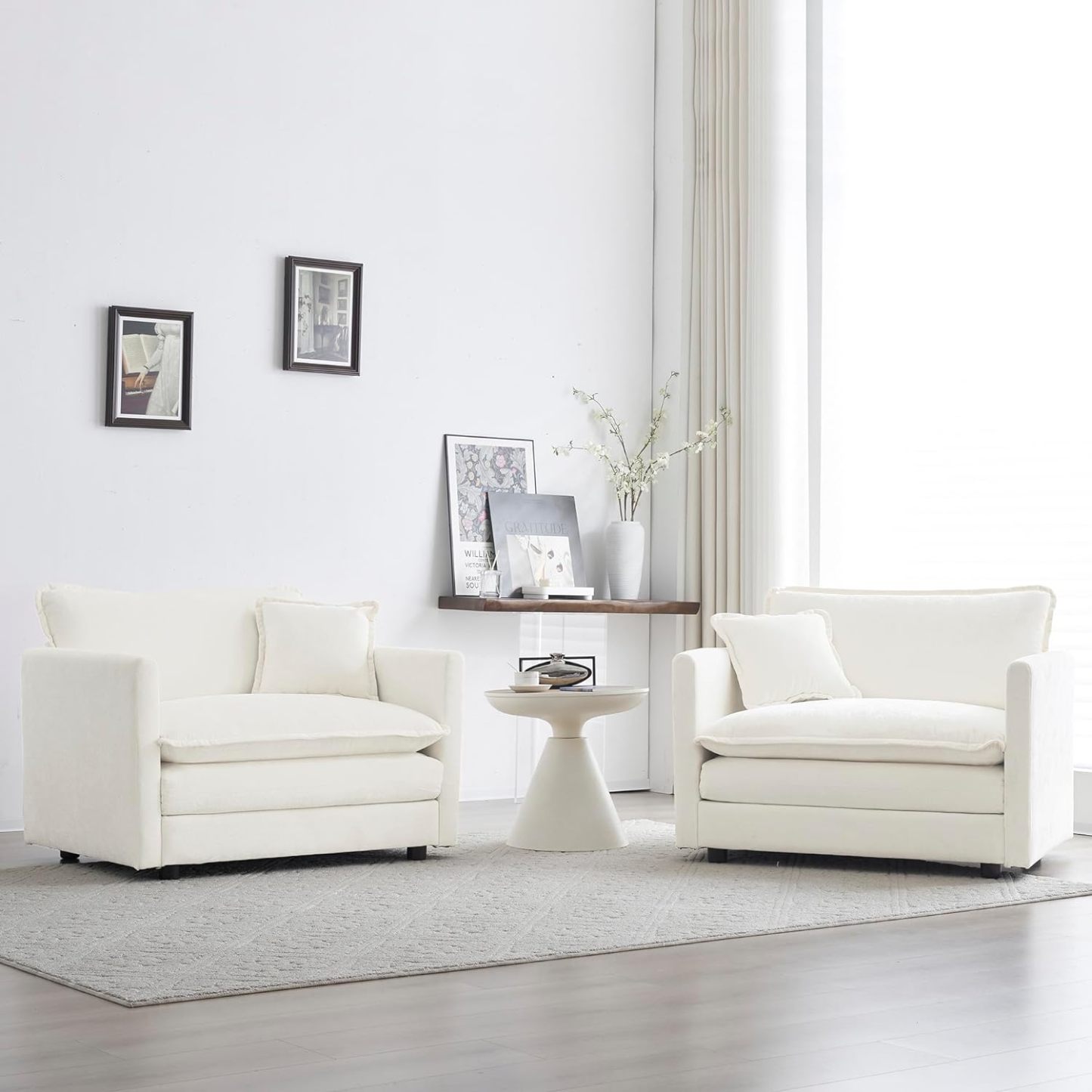 Neylory - Sofá de dos plazas con 2 almohadas para sala de estar, recámara, departamento, 2 plazas de felpilla para asiento profundo