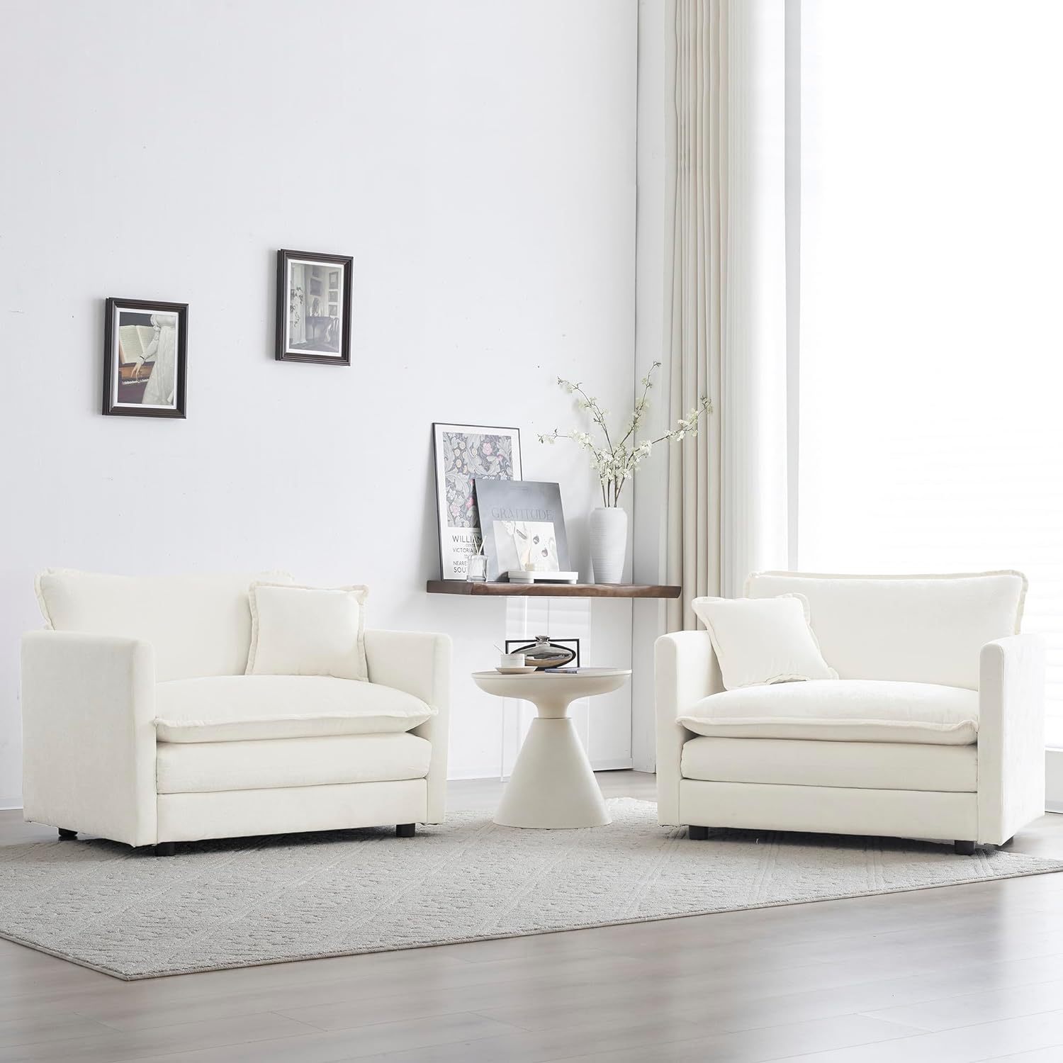 Neylory - Sofá de dos plazas con 2 almohadas para sala de estar, recámara, departamento, 2 plazas de felpilla para asiento profundo