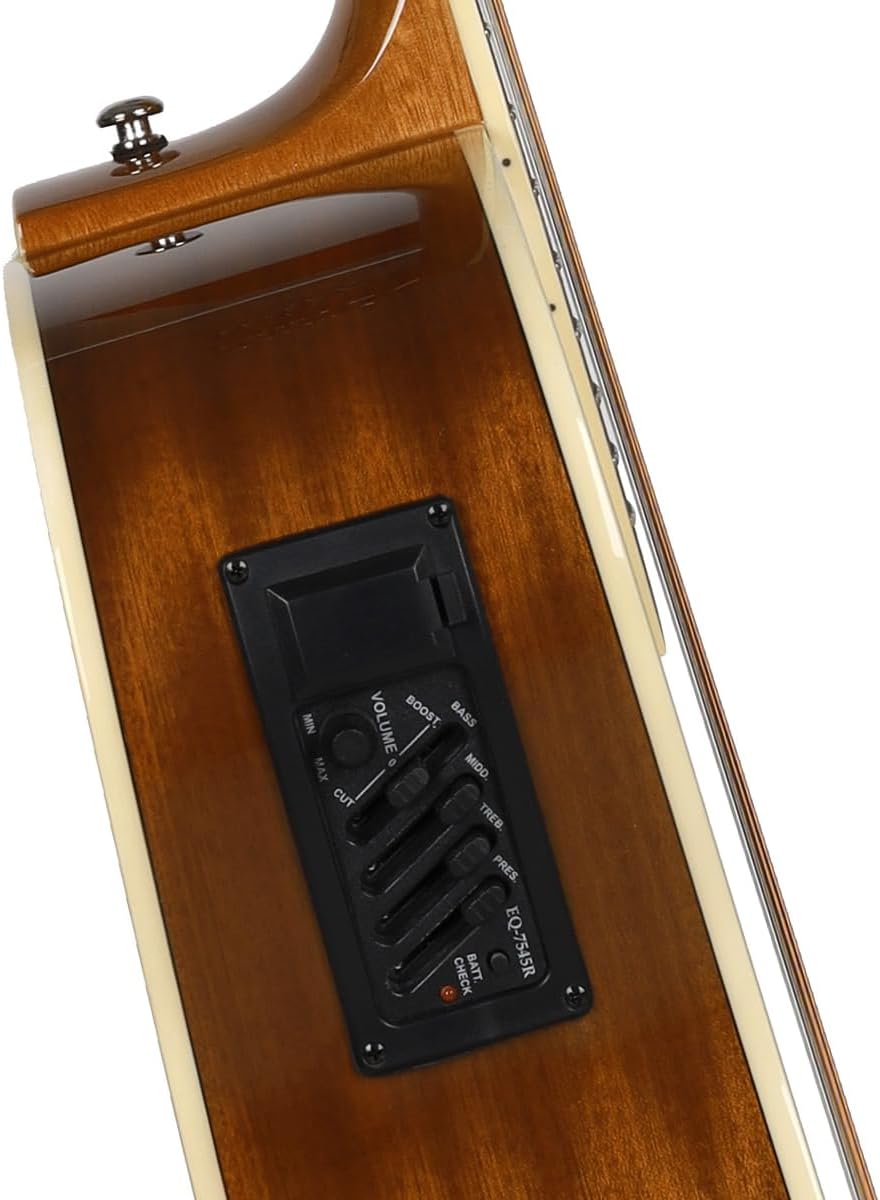 Jidyous-41 Inch,4/4,Guitarra Electroacústica 12 cuerdas,con Funda Acolchada, afinadores, Tirantes de guitarra,cuerdas, paletas, capó, adecuada para adultos jóvenes de nivel medio (Black)