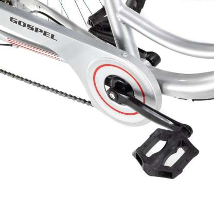 Bicicleta R26 7 Velocidades Tricicleta con Canasta Trasera Gospel PL7001-P