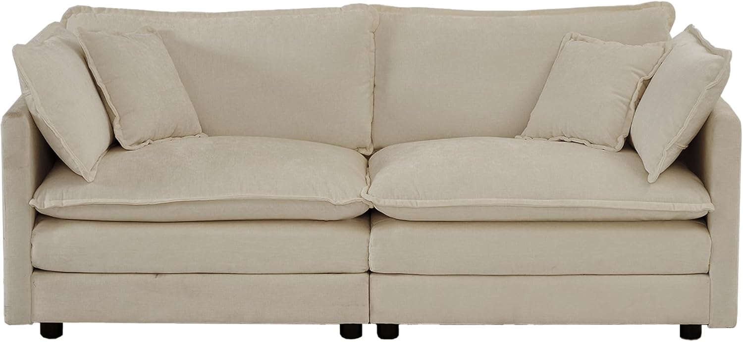 Neylory - Sofá de dos plazas con 2 almohadas para sala de estar, recámara, departamento, 2 plazas de felpilla para asiento profundo