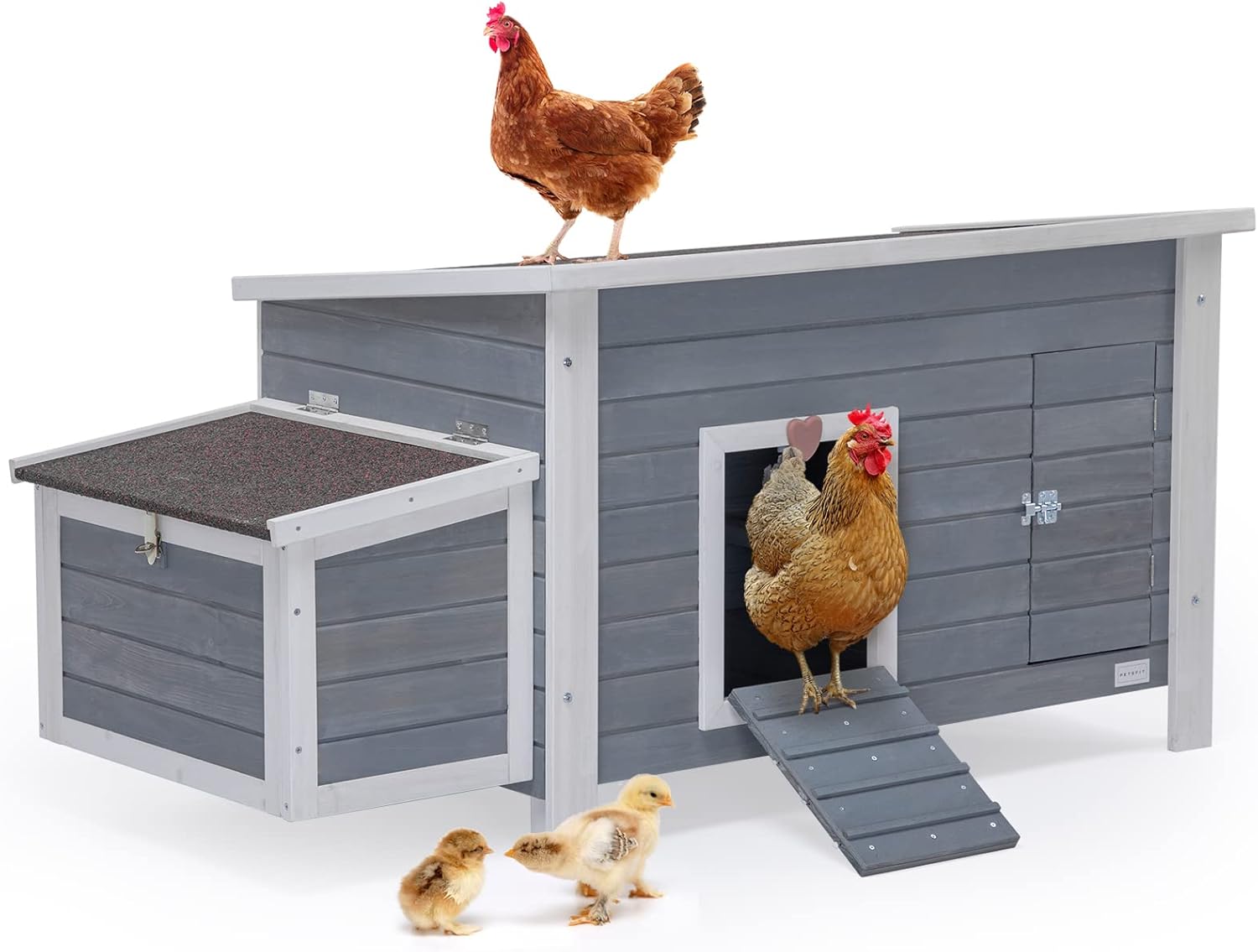 Petsfit- Gallinero grande con perchas mejoradas, jaula de madera para gallinas al aire libre con caja nido grande, techo de asfalto abierto resistente a la intemperie y fondo removible, casa para pato