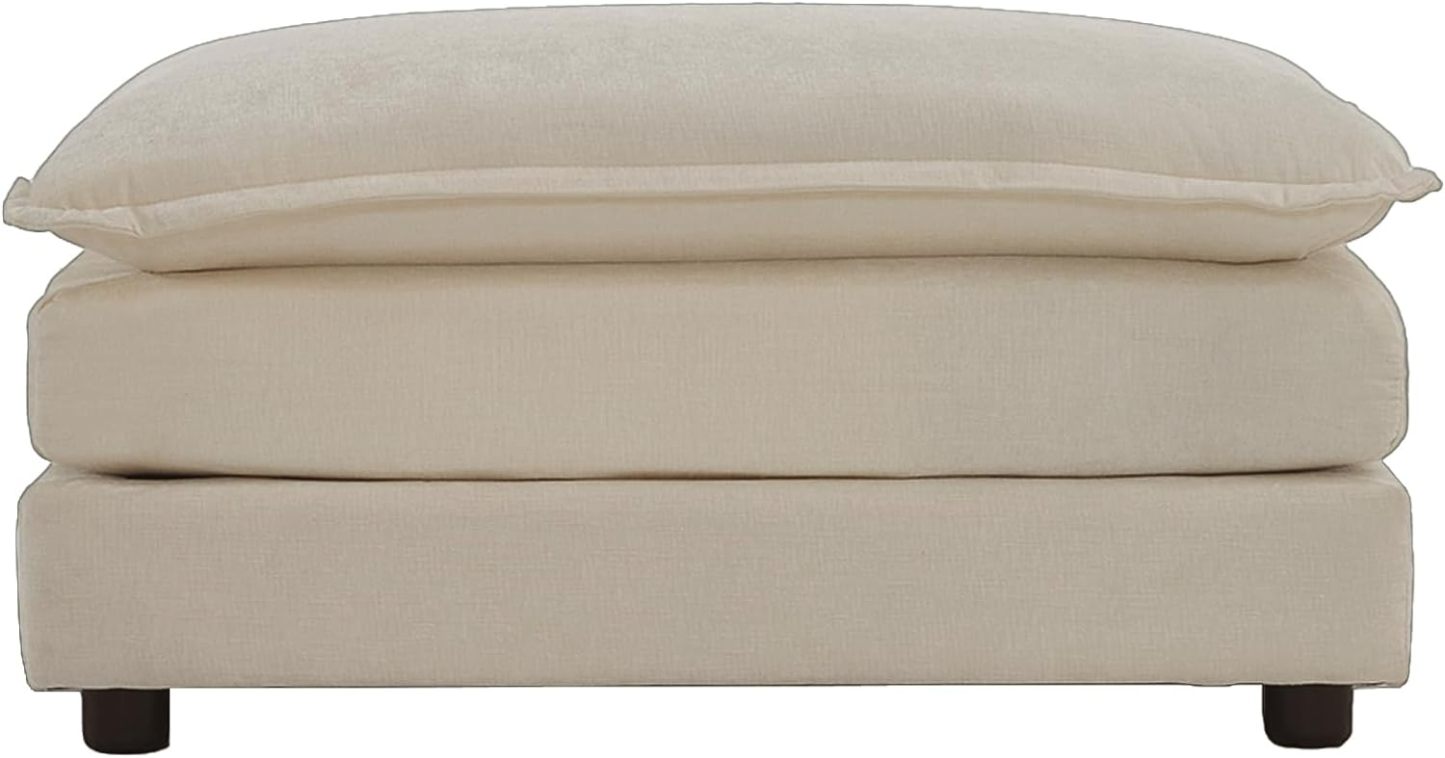 Neylory - Sofá de dos plazas con 2 almohadas para sala de estar, recámara, departamento, 2 plazas de felpilla para asiento profundo