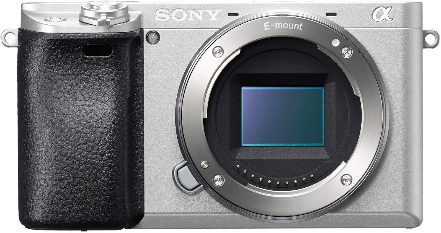 Sony Alpha a6300 Mirrorless Digital Camera with E PZ 16-50mm F3.5-5.6 OSS Power Zoom Lens (Black)