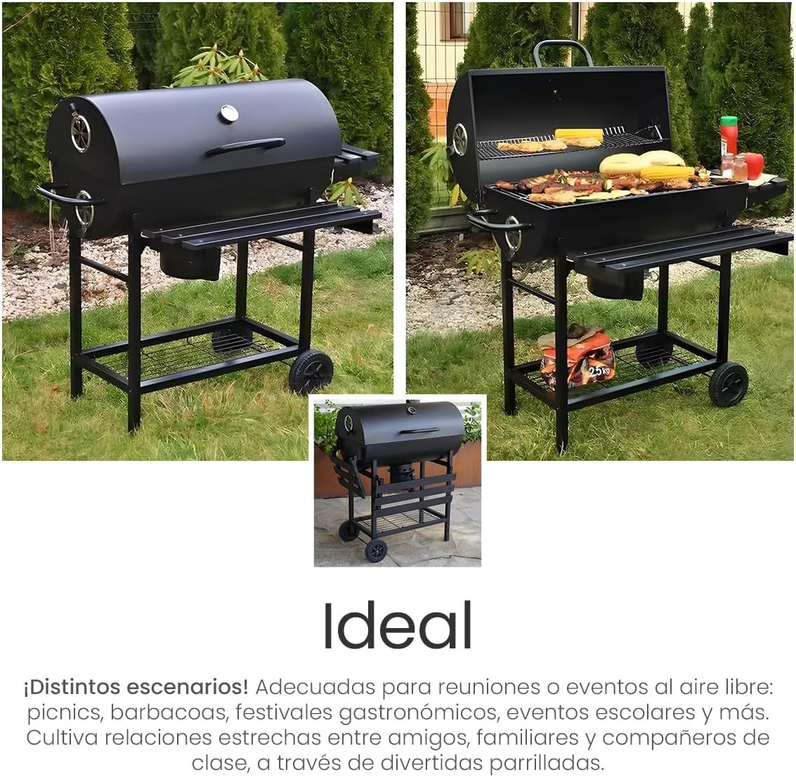 Raganet, Parrilla Asador de Carbón con Cenicero, Termómetro, Ruedas, Amplia Superficie de Cocción y Material Resistente, Ideal para Jardín y Terraza