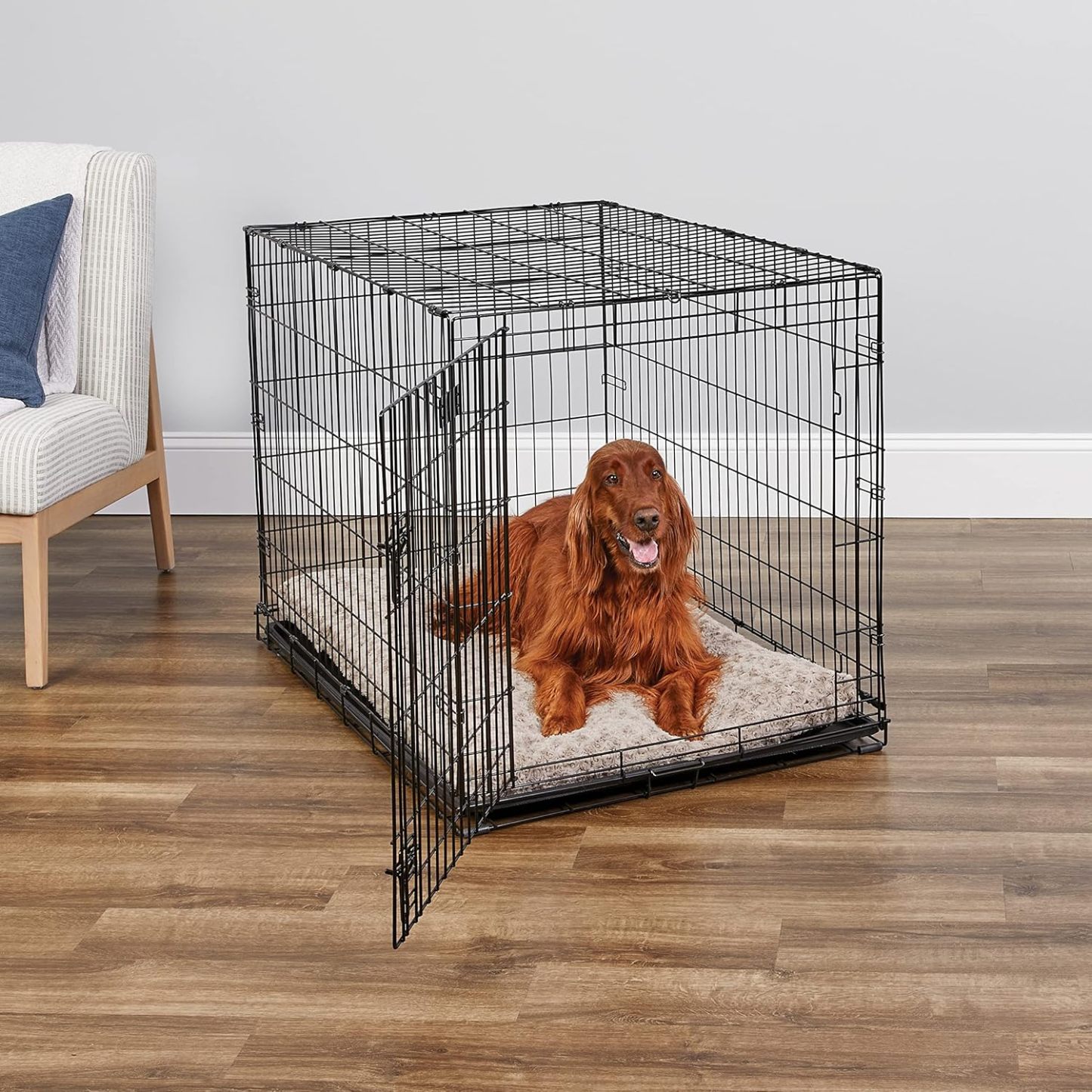 MidWest Homes for Pets - Jaula para perros XL | Jaula para perros MidWest iCrate de metal plegable con doble puerta con panel divisor, protege los pies y bandeja para perros a prueba de fugas | 48 pulgadas de largo x 30 de ancho x 33 pulgadas de alto, raz