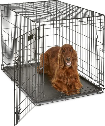 MidWest Homes for Pets - Jaula para perros XL | Jaula para perros MidWest iCrate de metal plegable con doble puerta con panel divisor, protege los pies y bandeja para perros a prueba de fugas | 48 pulgadas de largo x 30 de ancho x 33 pulgadas de alto, raz