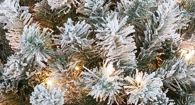Navidad