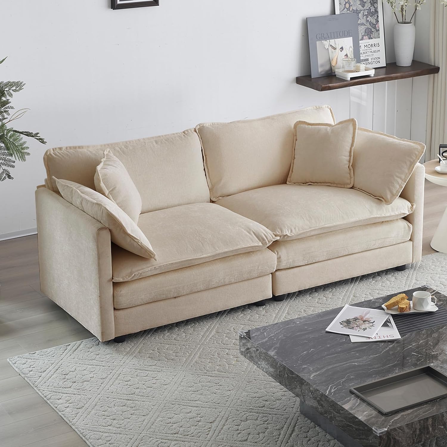 Neylory - Sofá de dos plazas con 2 almohadas para sala de estar, recámara, departamento, 2 plazas de felpilla para asiento profundo