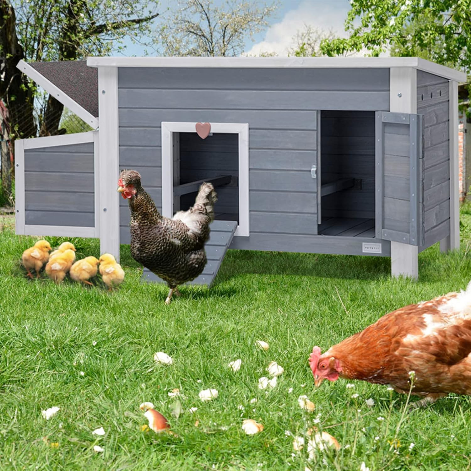 Petsfit- Gallinero grande con perchas mejoradas, jaula de madera para gallinas al aire libre con caja nido grande, techo de asfalto abierto resistente a la intemperie y fondo removible, casa para pato