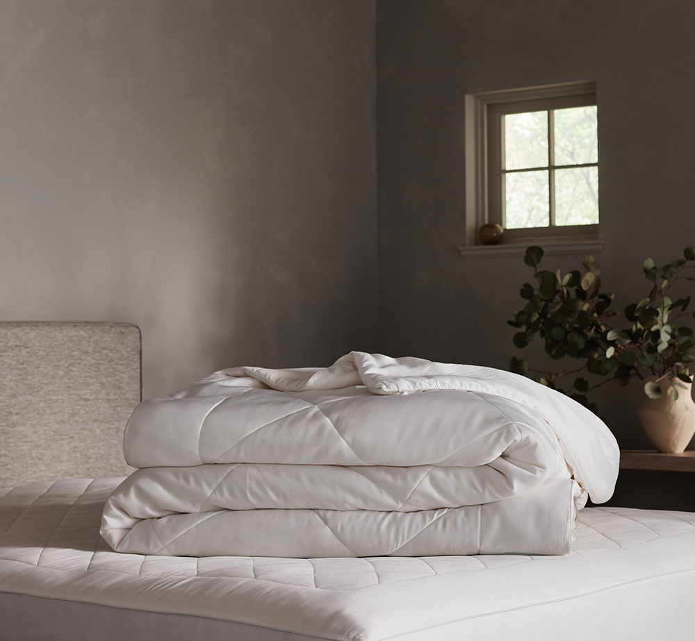 Pillows & Inserts