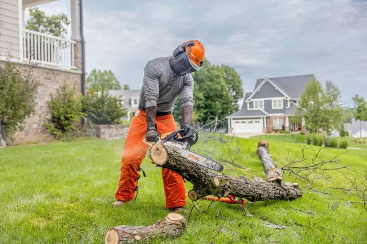 STIHL✨Flash sale Now✨-ONLY ＄39