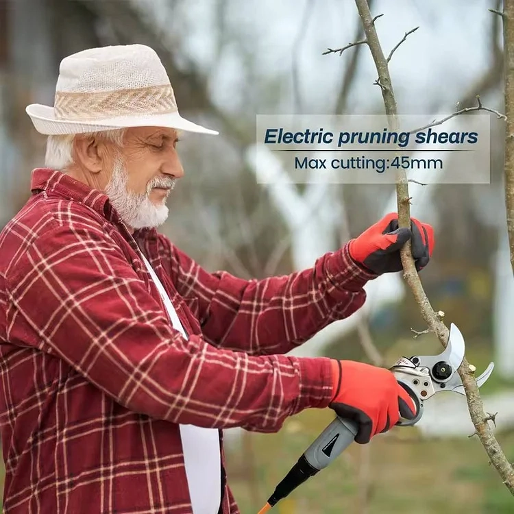 💥Last Day Clearance Sale $19 💥36V Professional Electric Pruning Shears