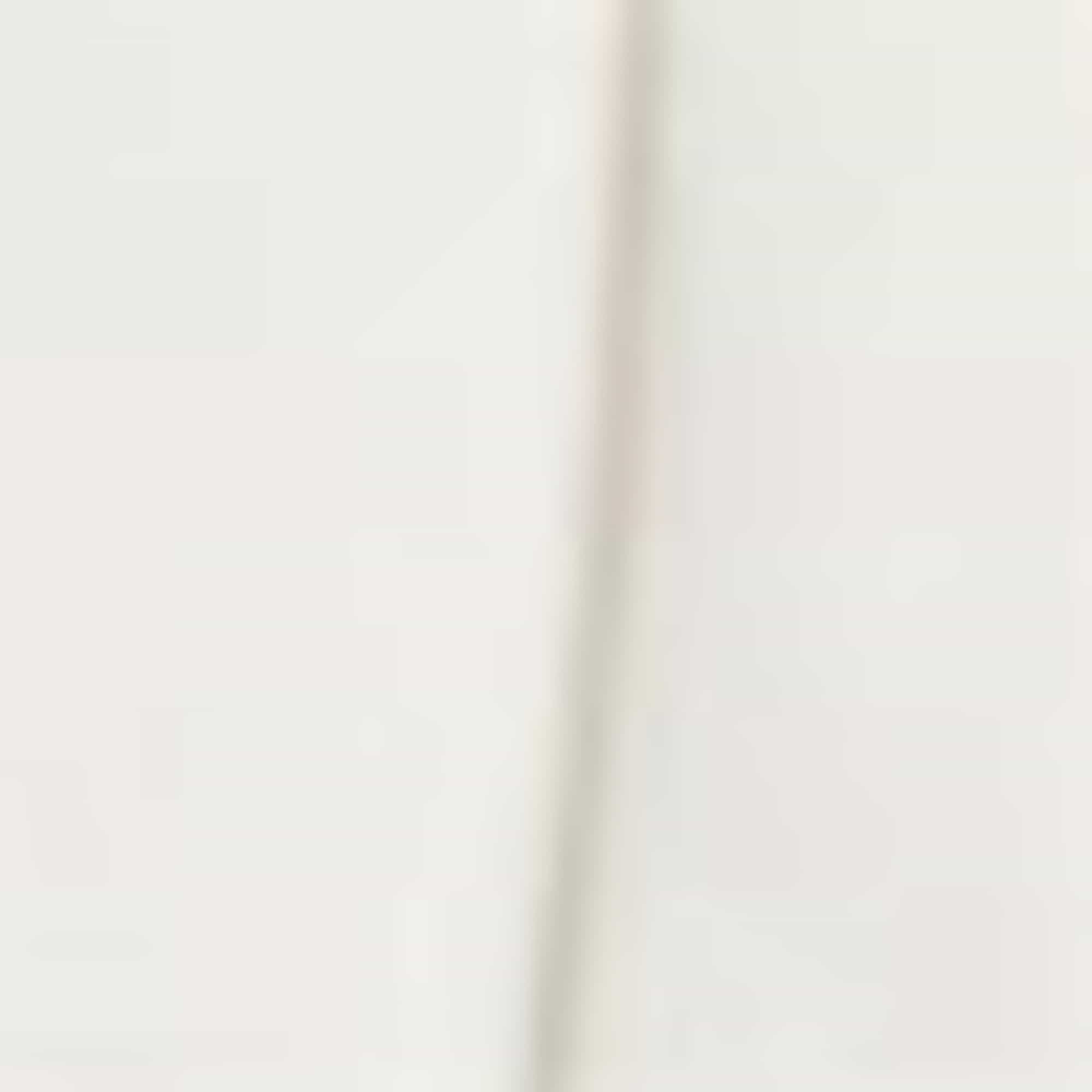 Shorts with belt - high waist white