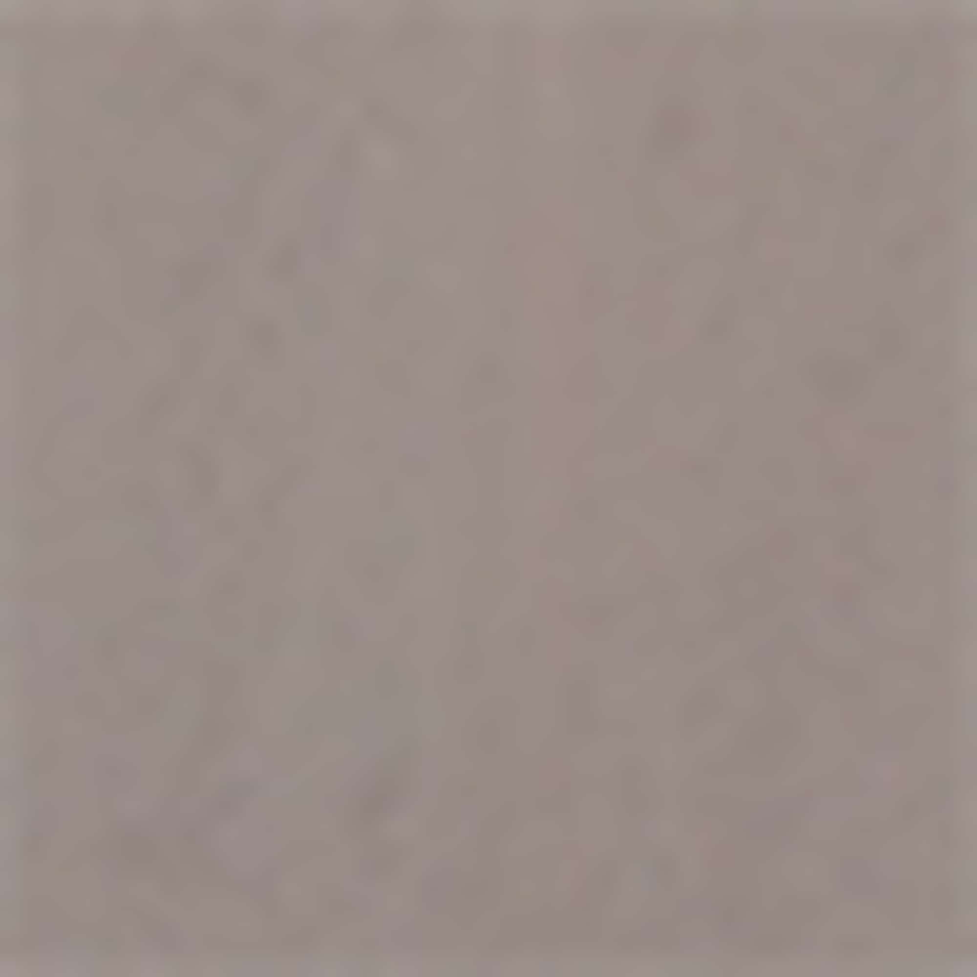 Coat gray