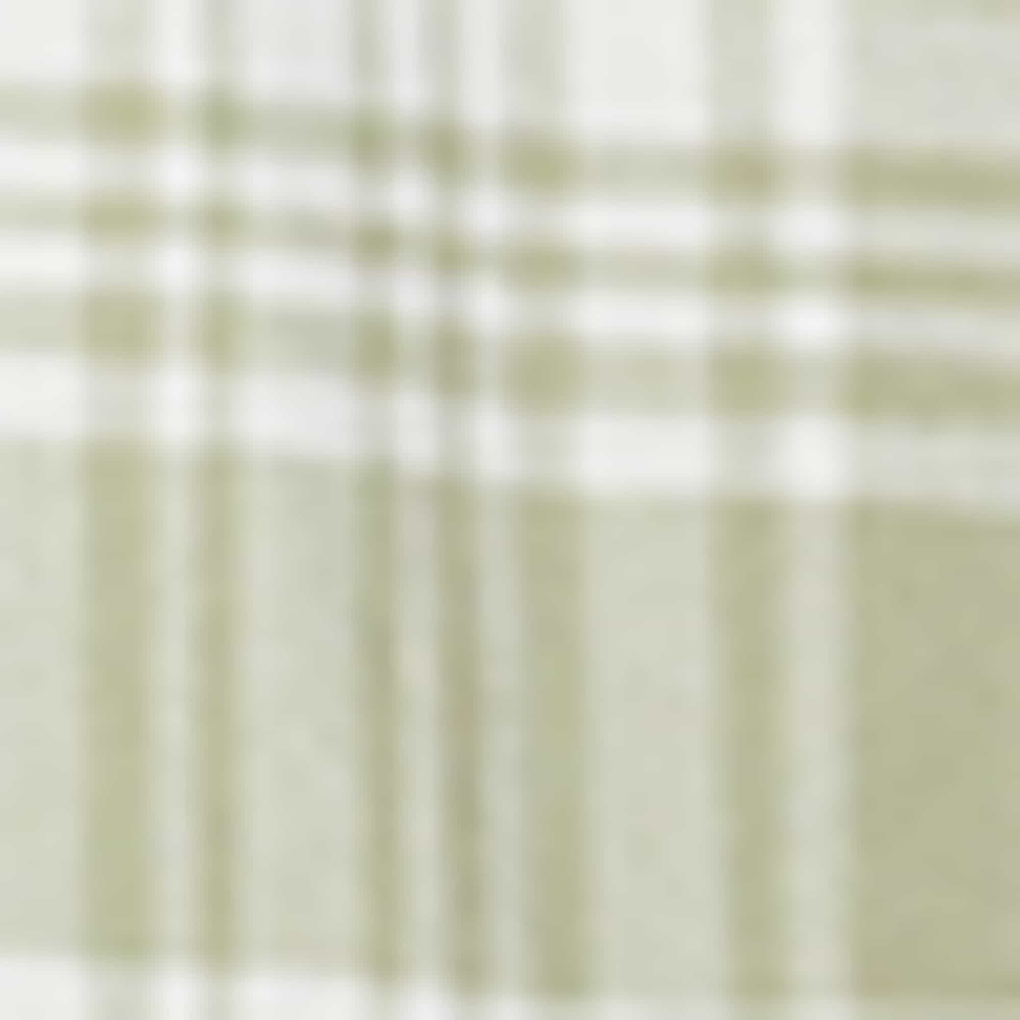 Flannel shirt - regular fit - kent collar - check mint green