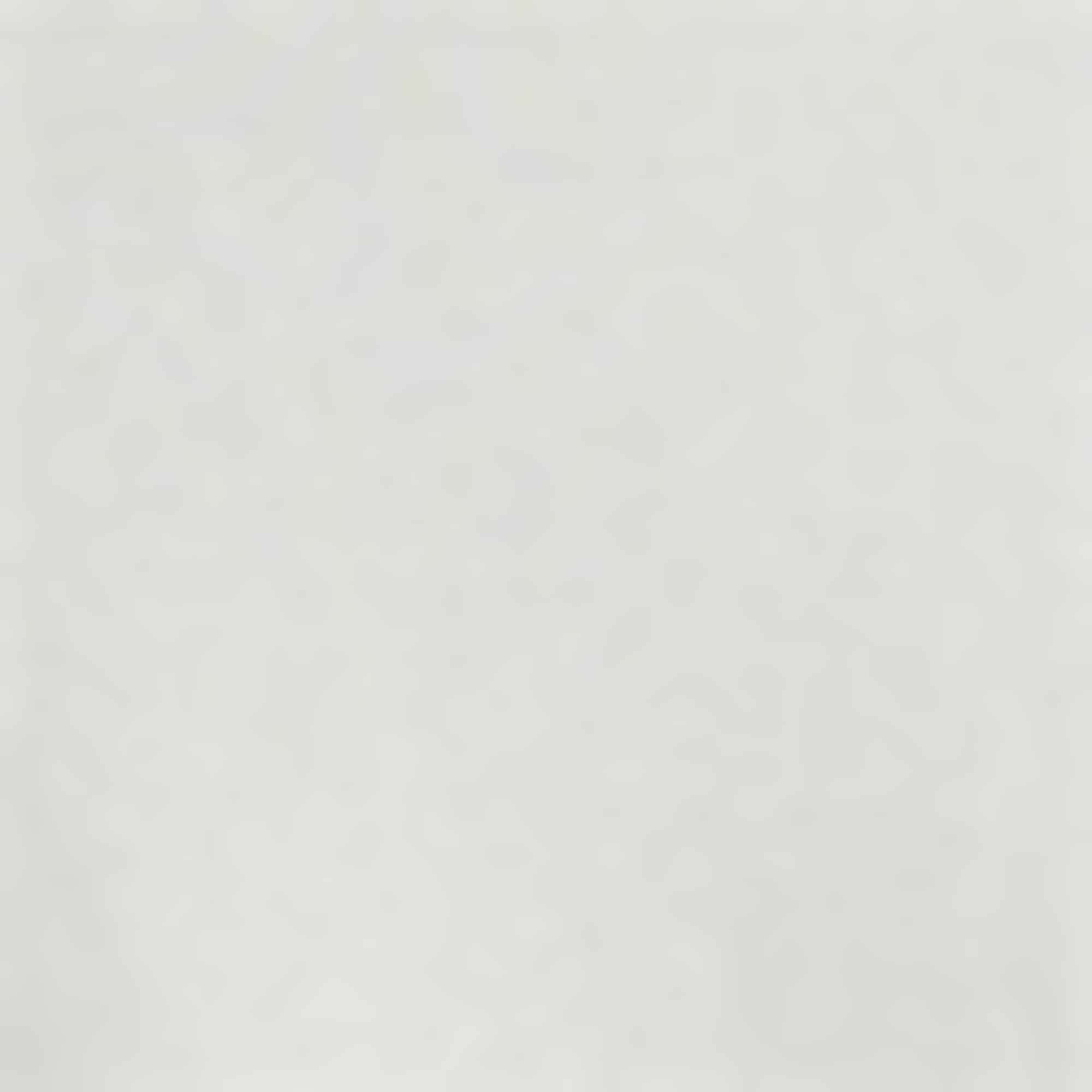 T-shirt - relaxed fit light gray (12)